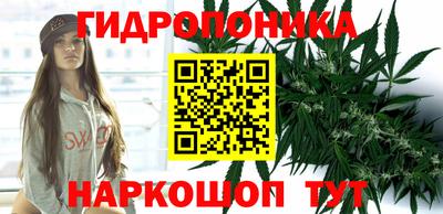 спиды Севастополь