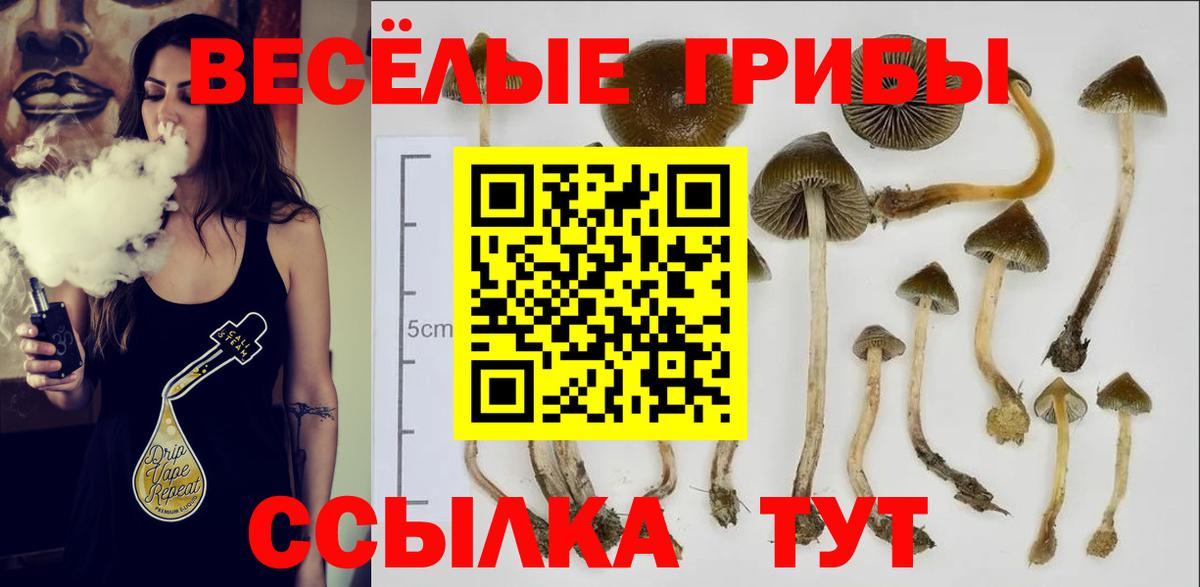 Галлюциногенные грибы MAGIC MUSHROOMS Наро-Фоминск